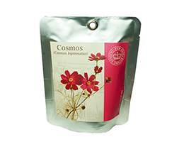 Cosmos - pocket garden