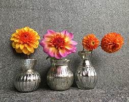 Ulu glass vases