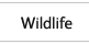 Wildlife