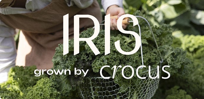 Iris