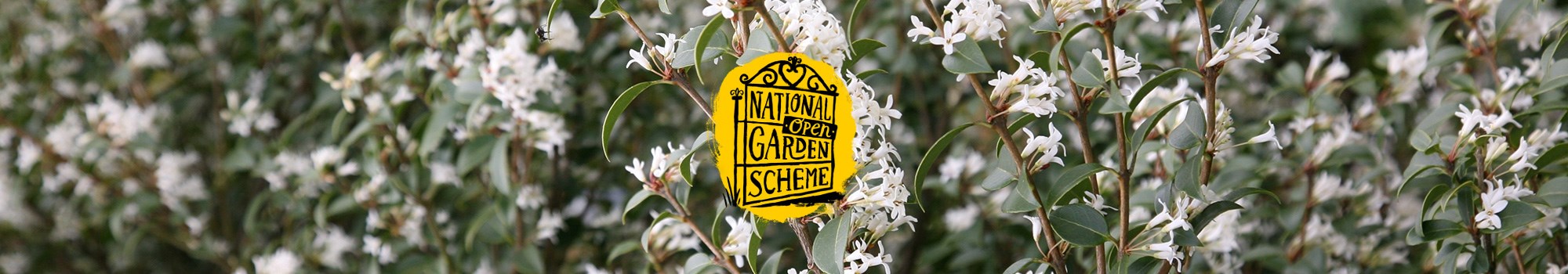 NGS garden