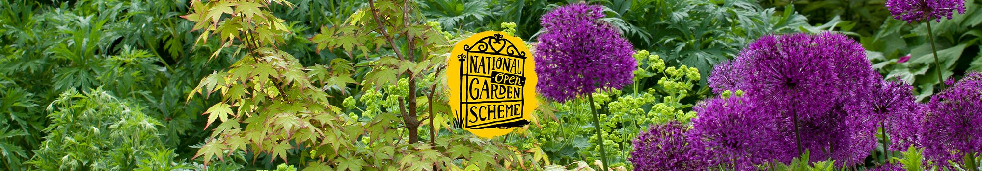 NGS garden