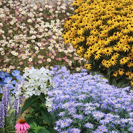 Ready-made border Autumn colour