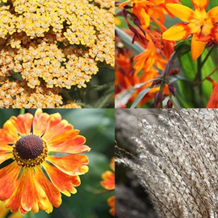 Ready-made border Brilliant orange