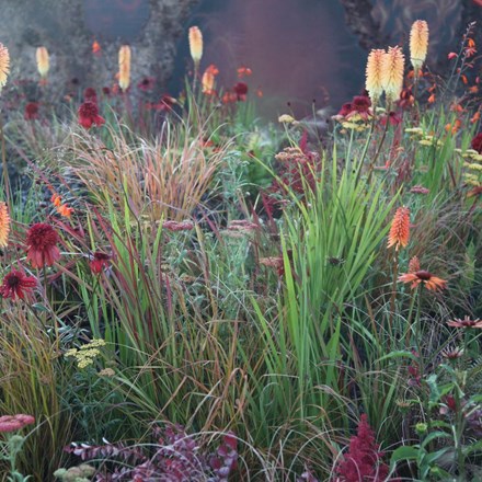 Ready-made border Smoky