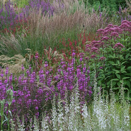 Ready-made border Summer savanna