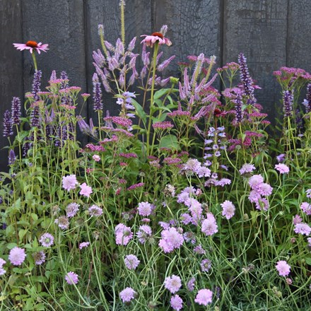 Ready-made border Shades of pink