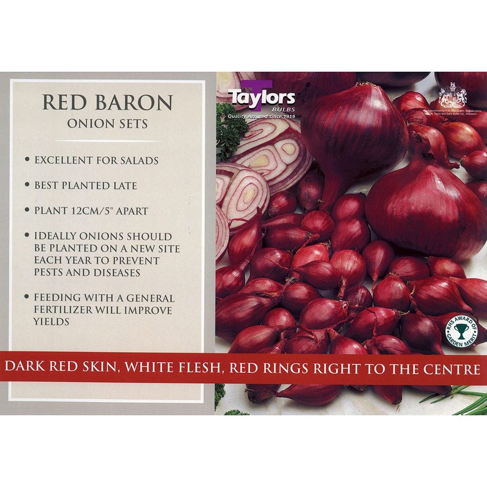 onion 'Red Baron'