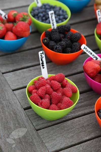 raspberry 'Tulameen'