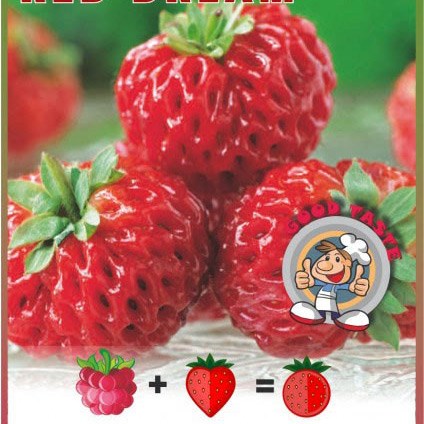 framberry 'Red Dream'
