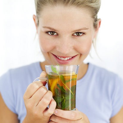 tea plant