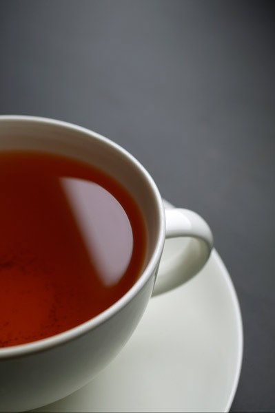 tea plant
