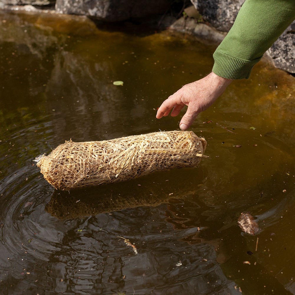 Pond clear Barley