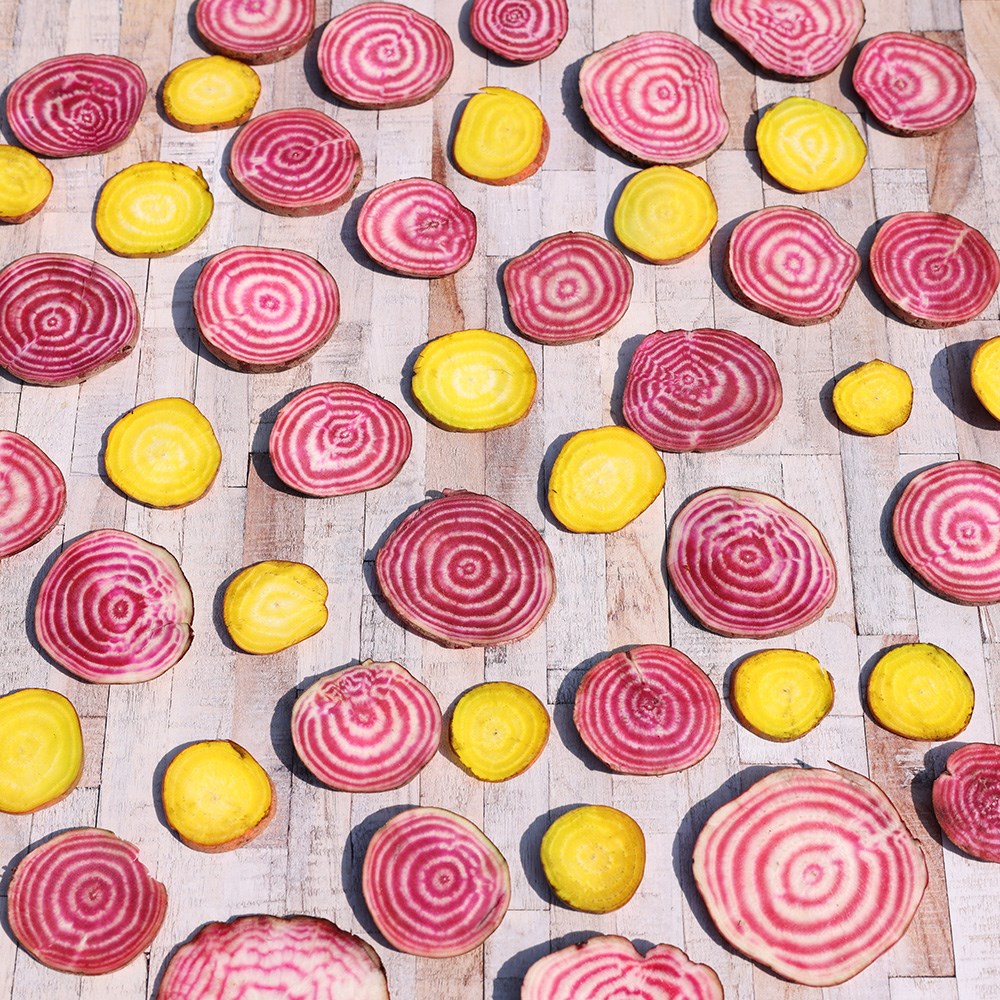beetroot 'Boldor' F1
