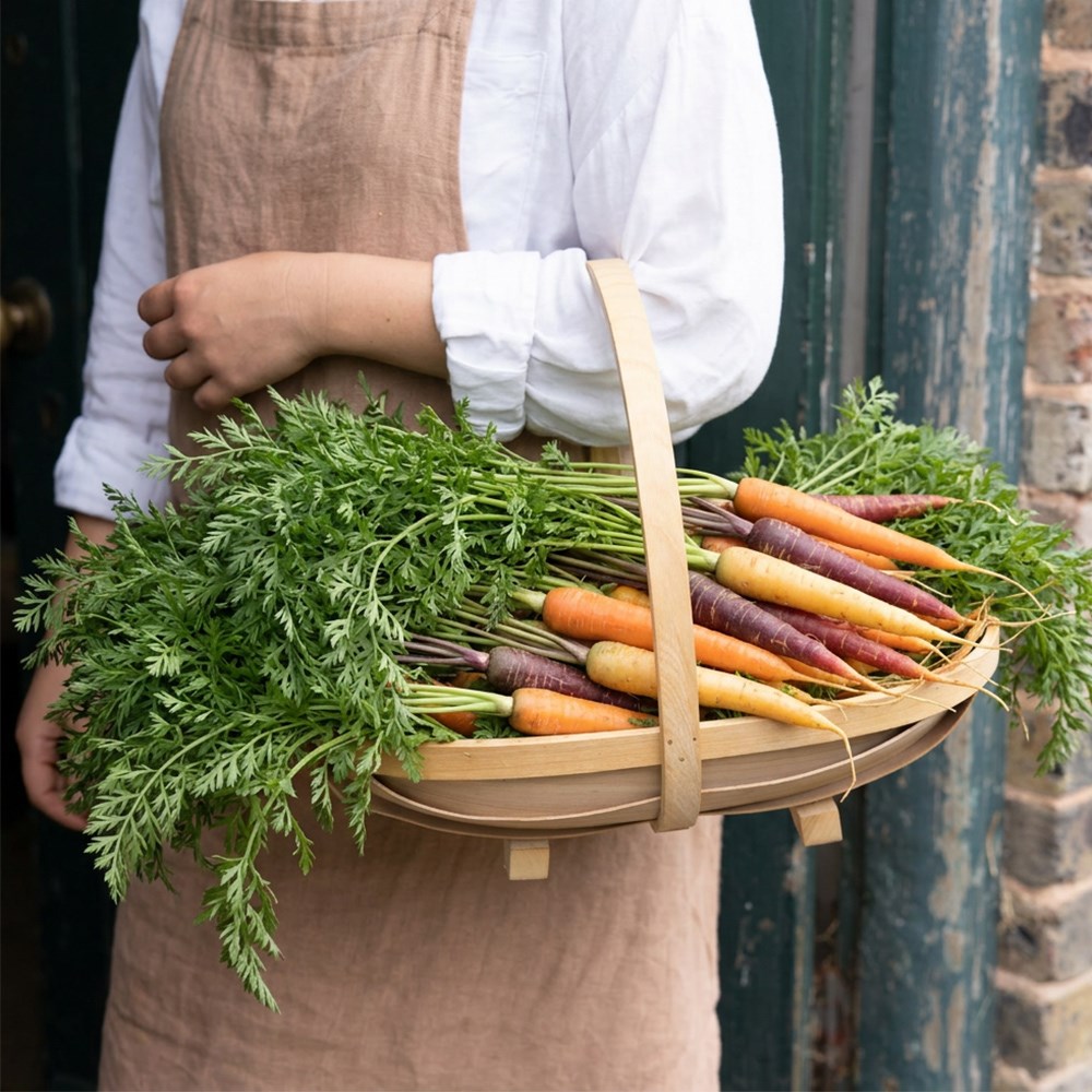 carrot 'Mixed'