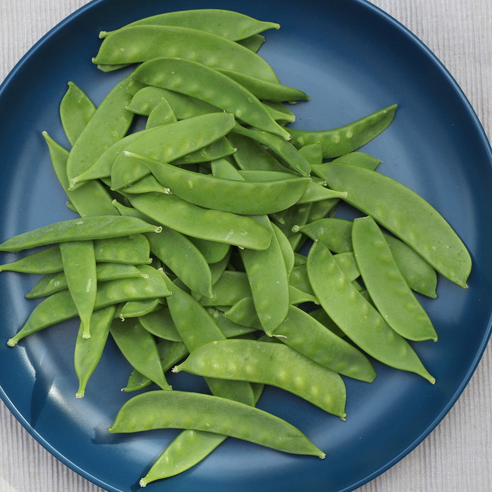 pea (mangetout) 'Oregon Sugar Pod'