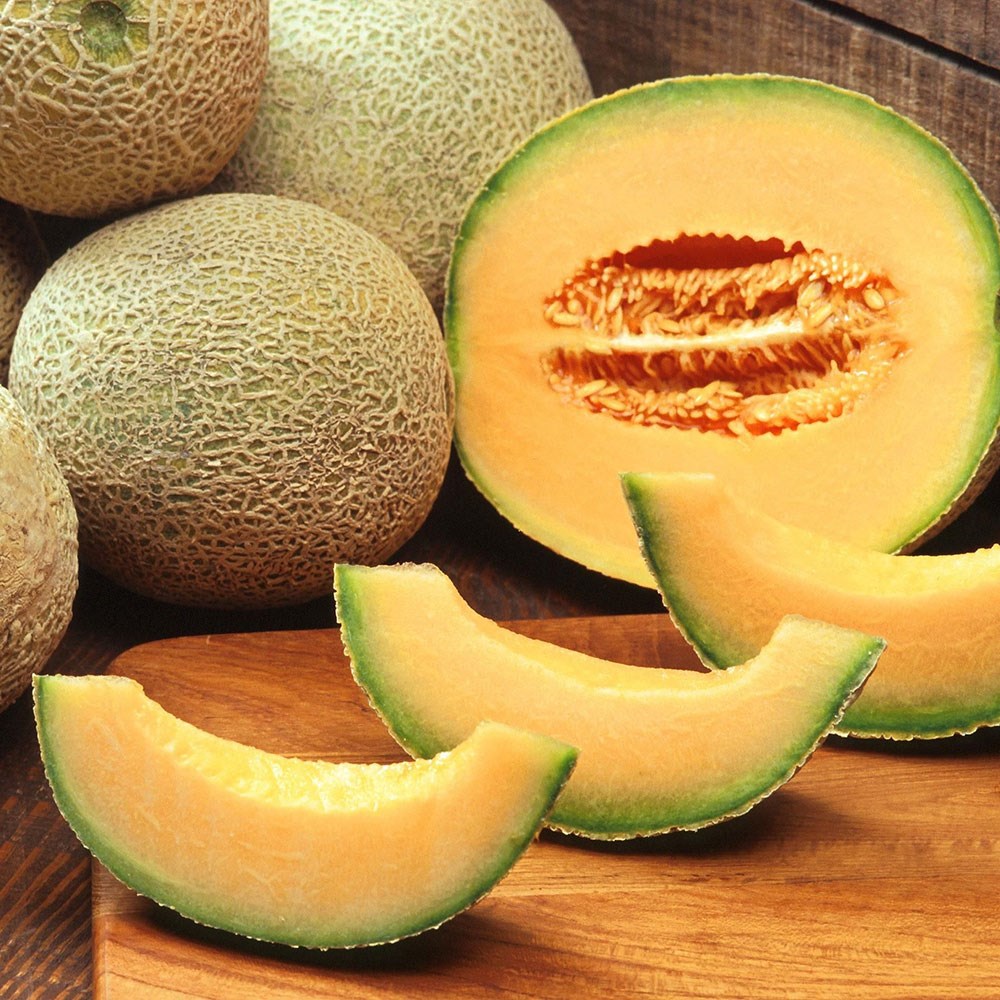 melon 'Charentais'