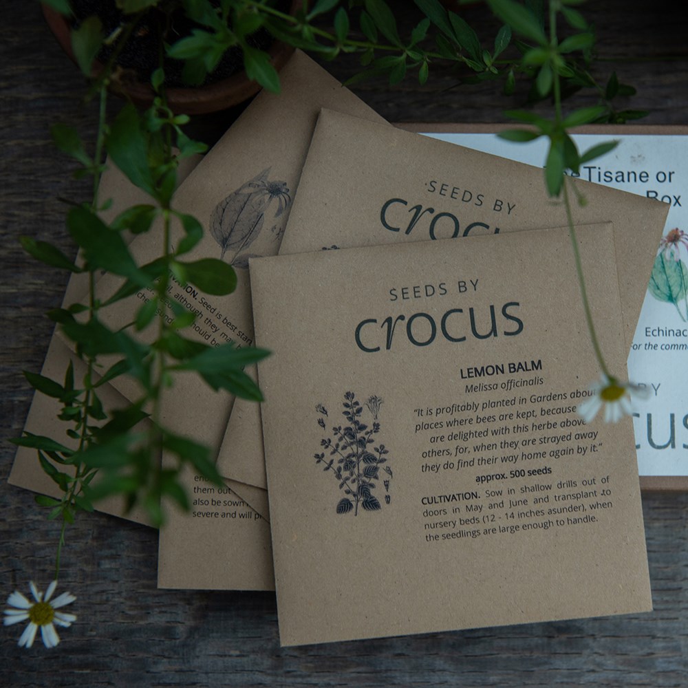 Herbal teas seed gift box