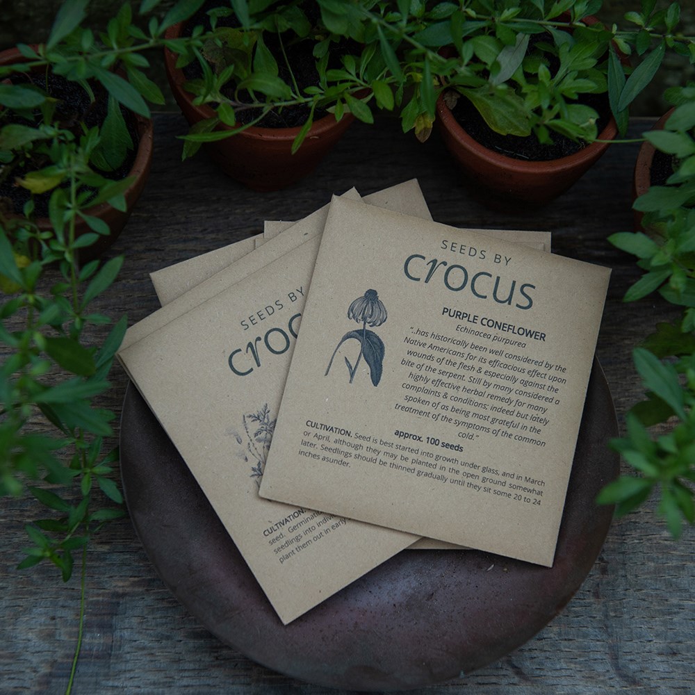 Apothecary herbs seed gift box
