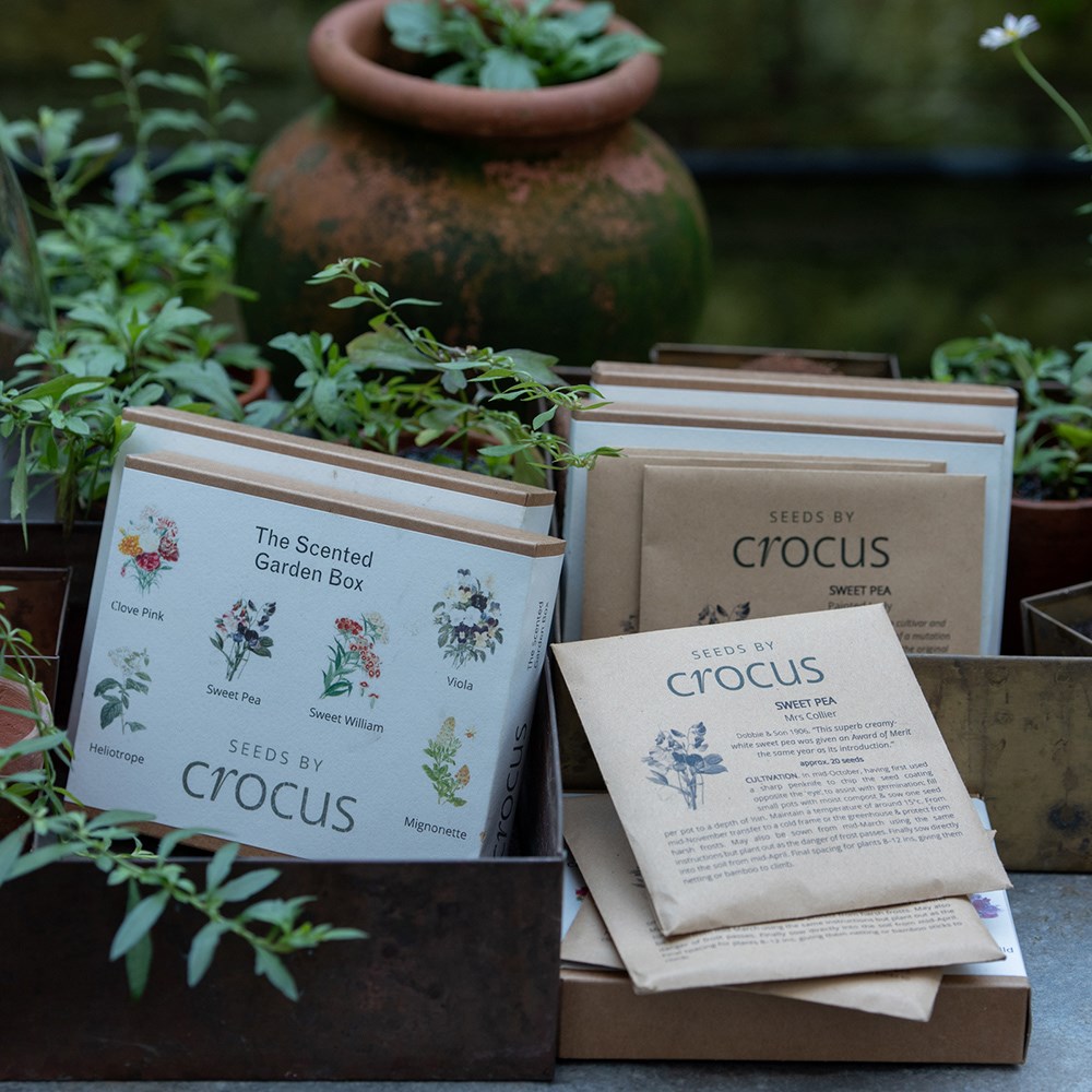 The scented garden seed gift box