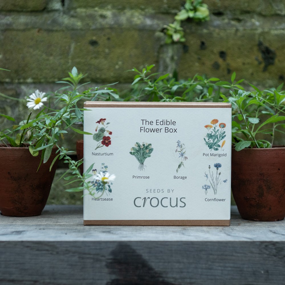 Edible flower collection seed gift box