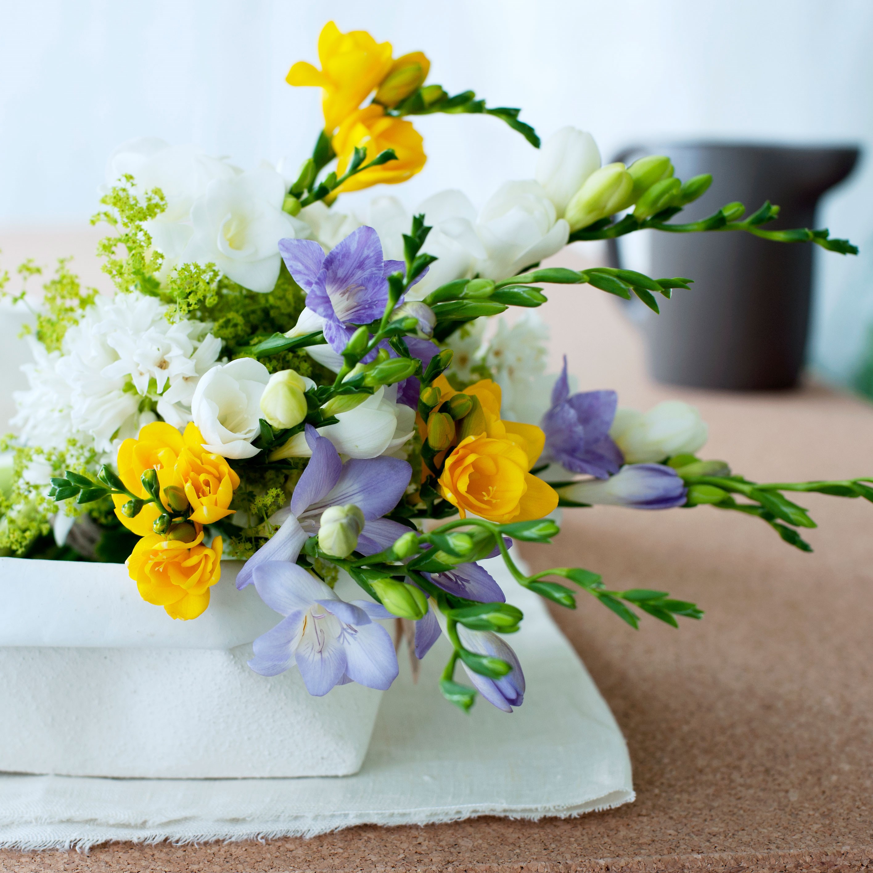 Fragrant freesia collection