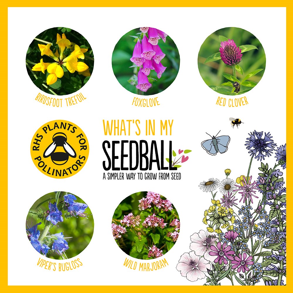 Seedballs for bees