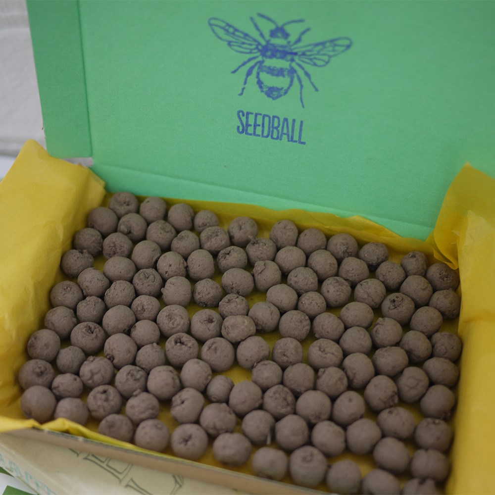 Seedballs for bees