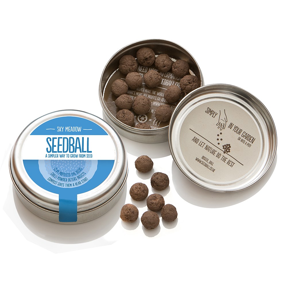 Seedballs blue meadow