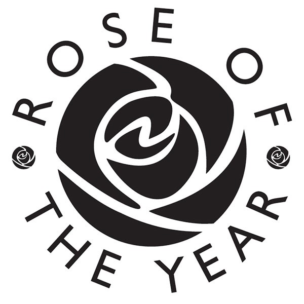<i>Rosa</i> <b class=small-caps>Scent from Heaven</b> ('Chewbabaluv') (PBR) | Climbing Rose