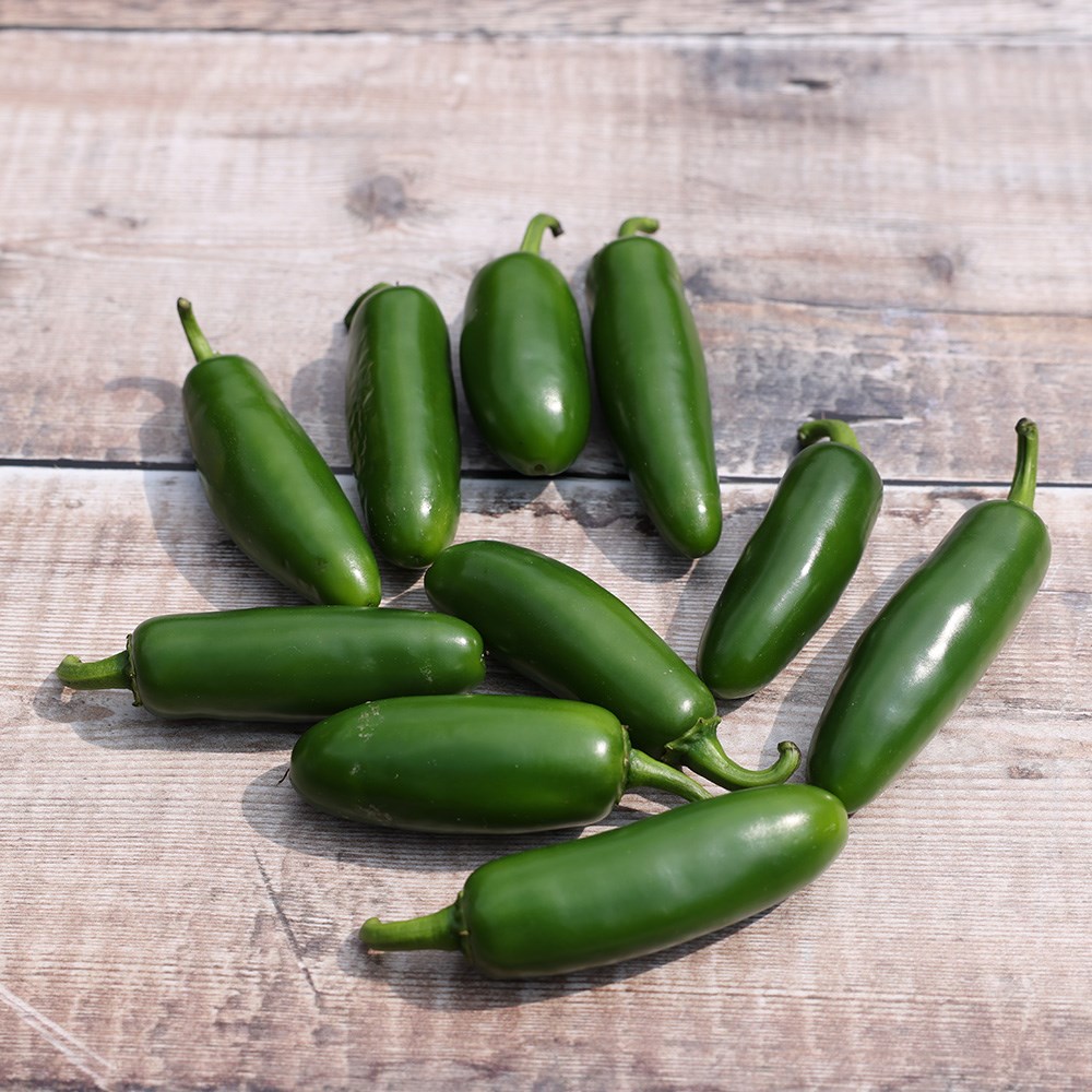 chilli 'Jalapeño'