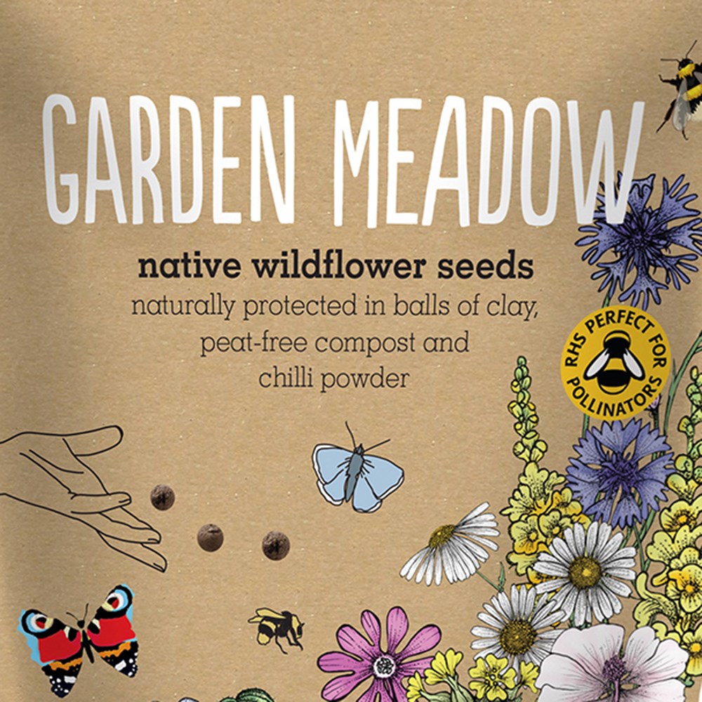 Seedballs native wildflowers for a garden meadow
