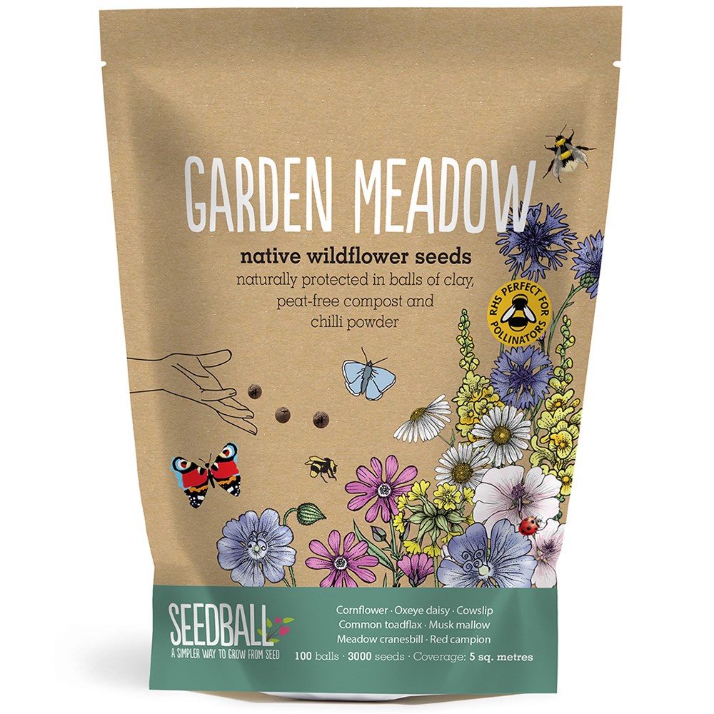 Seedballs native wildflowers for a garden meadow