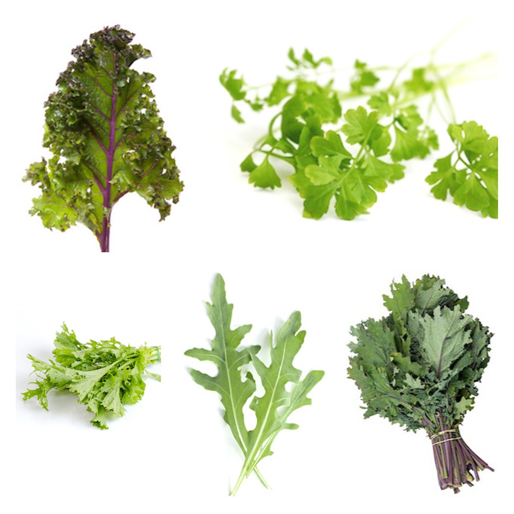 Seedballs salad mix