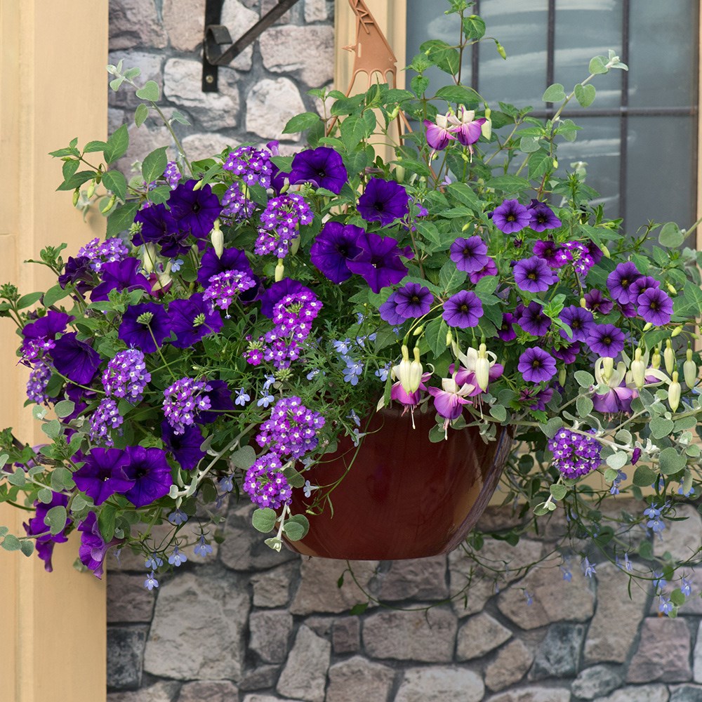 Sea blues - Easyplanter for hanging baskets & patio pots