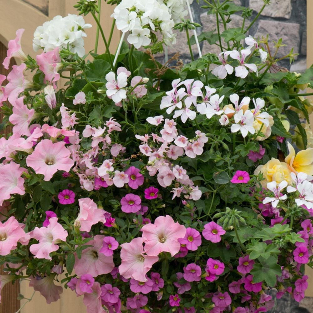 Bridal bouquet - Easyplanter for hanging baskets & patio pots