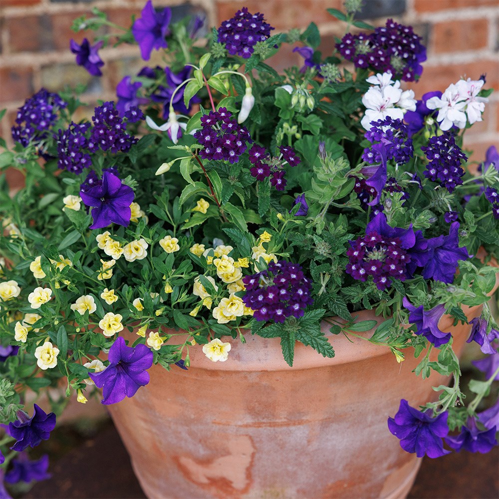Nautical chic - Easyplanter for hanging baskets & patio pots