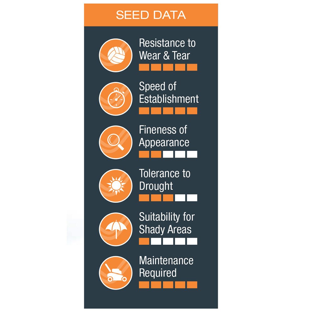 Johnsons tuffgrass lawn seed