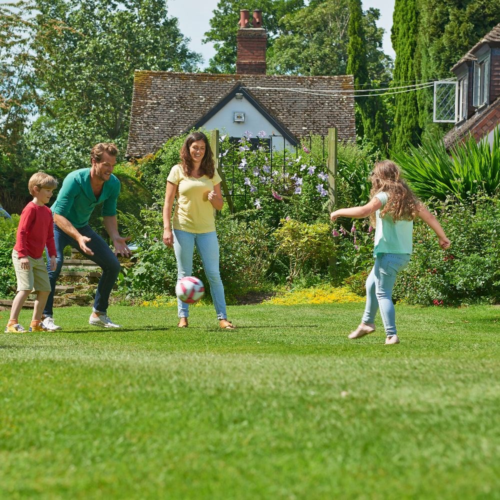 Johnsons general purpose lawn seed
