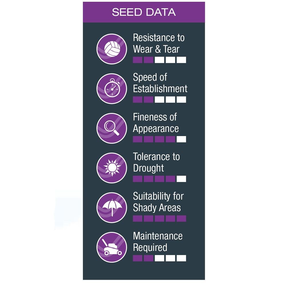 Johnsons shady lawn seed