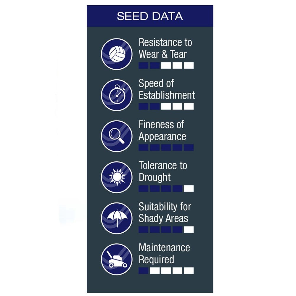 Johnsons luxury lawn seed