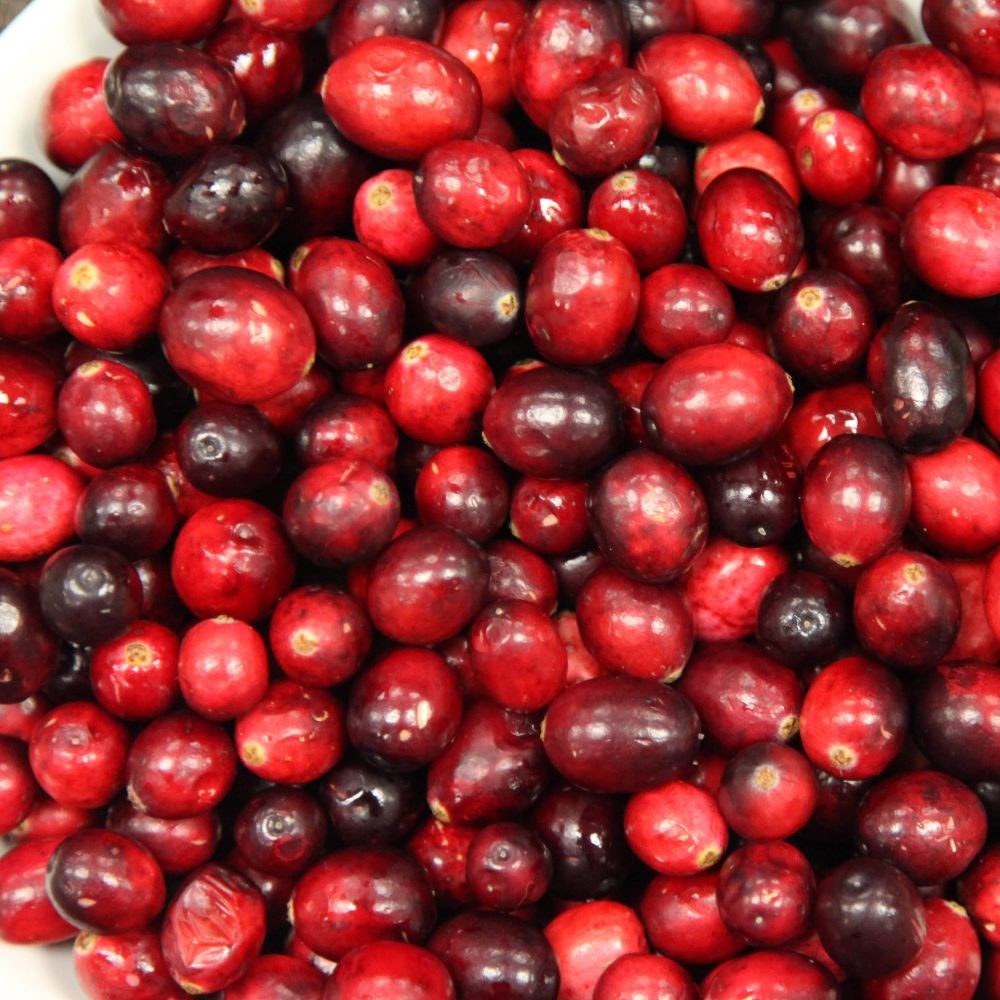 cranberry 'Pilgrim'