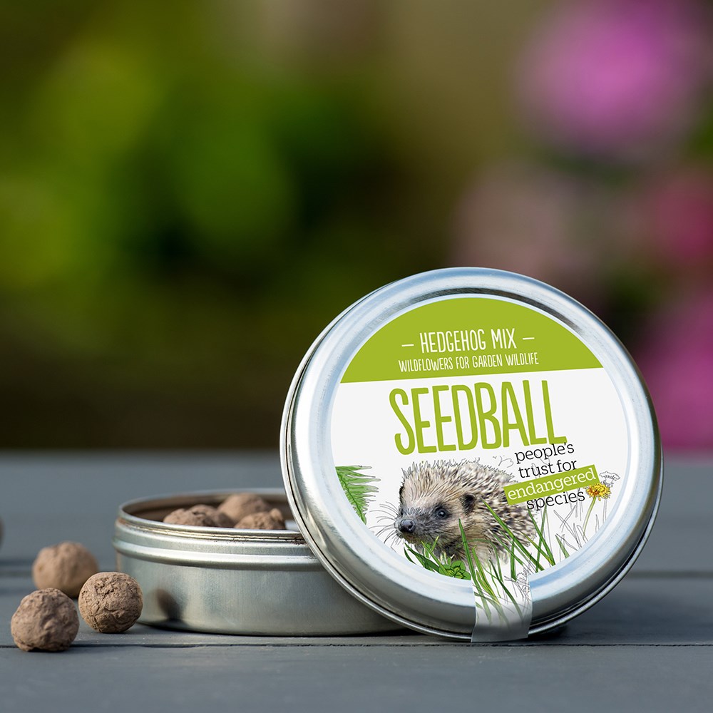 Seedballs hedgehog mix