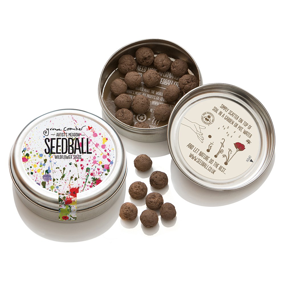 Seedballs artists meadow 
