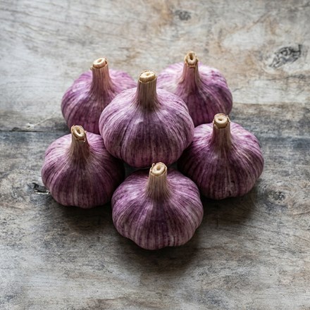 garlic Edenrose
