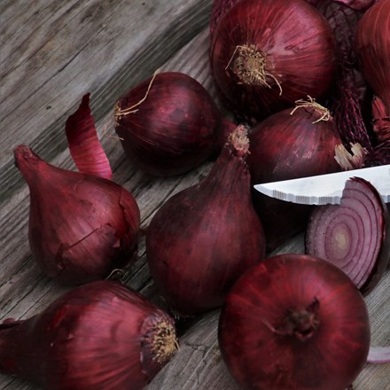 onion Karmen