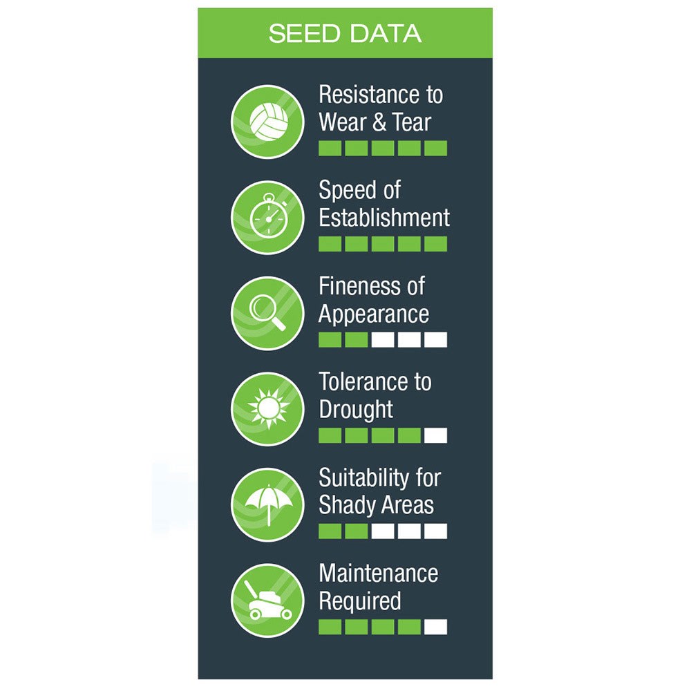 Johnsons quick fix lawn seed