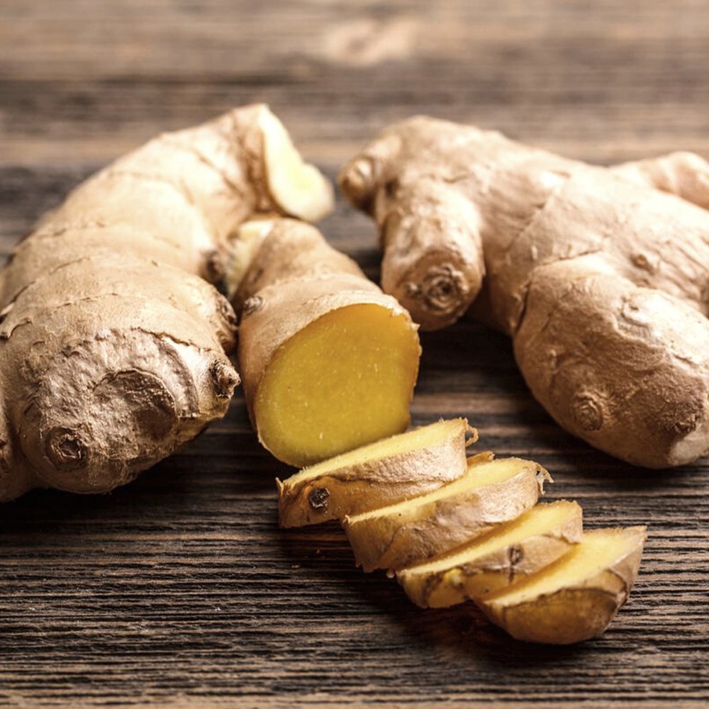 ginger (Zingiber officinale)
