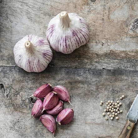 garlic Kingsland Wight