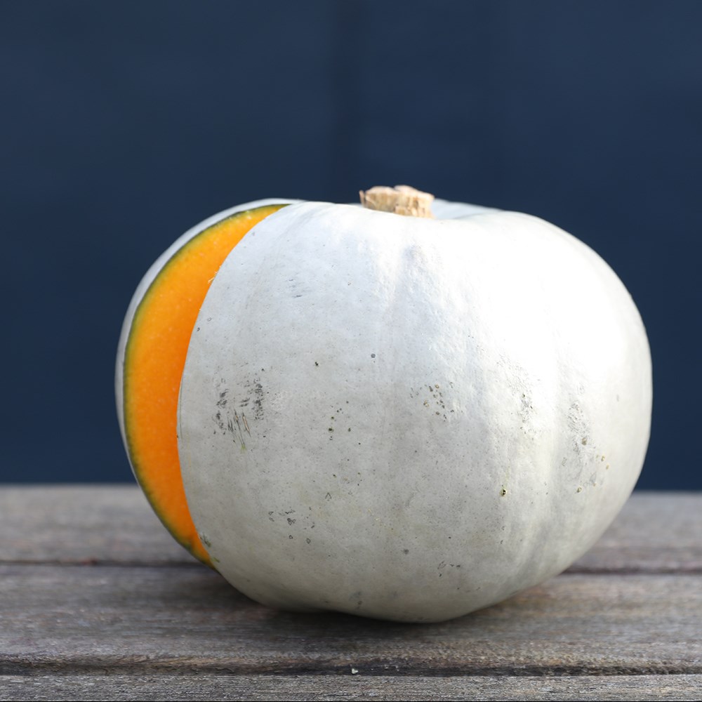 squash 'Crown Prince' F1